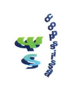 Imagen de WS COPSISA