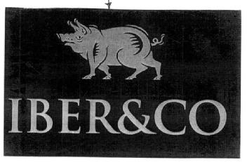 Imagen de IBER&CO