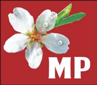 Imagen de MP