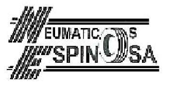 Imagen de NEUMATICOS ESPINOSA