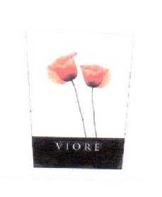 Imagen de VIORE