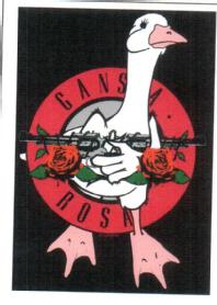 Imagen de GANSA ROSA
