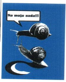 Imagen de NO MOJO NADA!!!