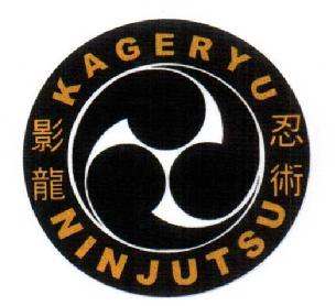 Imagen de KAGE RYU NINJUTSU