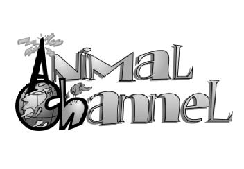 Imagen de ANIMAL CHANNEL