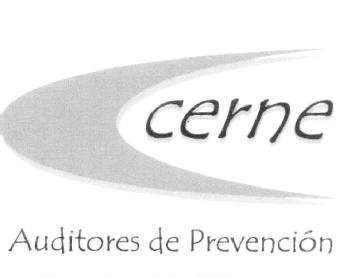 Imagen de CERNE AUDITORES DE PREVENCION