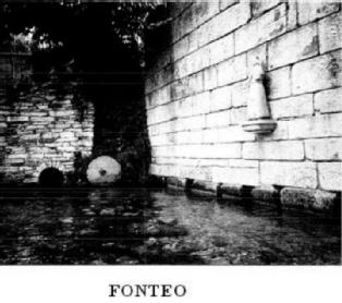 Imagen de FONTEO