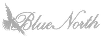 Imagen de BLUE NORTH