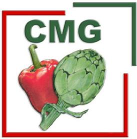 Imagen de CMG
