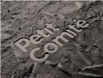 Imagen de PETIT COMITE
