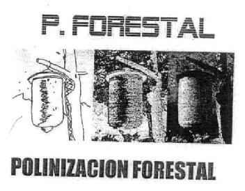 Imagen de P. FORESTAL POLINIZACION FORESTAL