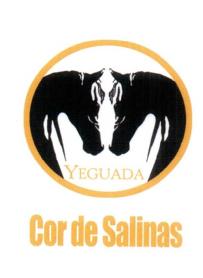 Imagen de YEGUADA COR DE SALINAS