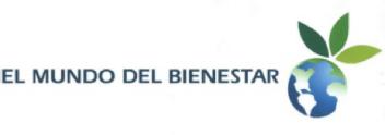 Imagen de EL MUNDO DEL BIENESTAR
