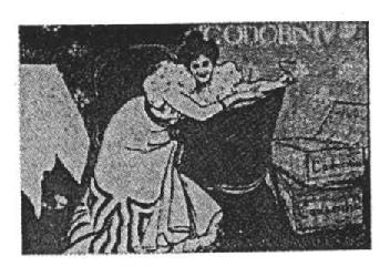 Imagen de CODORNIU