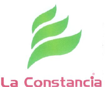 Imagen de LA CONSTANCIA