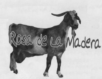 Imagen de ROSA DE LA MADERA