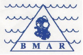 Imagen de BMAR