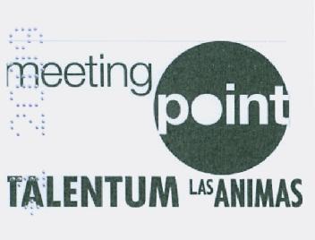 Imagen de MEETING POINT F1 TALENTUM LAS ANIMAS