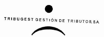 Imagen de TRIBUGEST GESTION DE TRIBUTOS, S.A