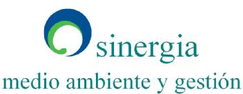 Imagen de SINERGIA, MEDIO AMBIENTE Y GESTION