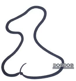 Imagen de DOGDOG