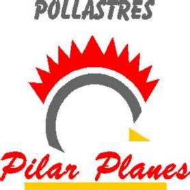 Imagen de POLLASTRES PILAR PLANES