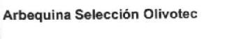 Imagen de ARBEQUINA SELECCION OLIVOTEC