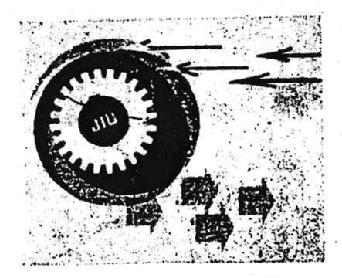 Imagen de JIU