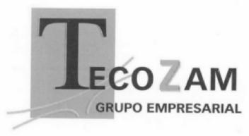 Imagen de TECOZAM GRUPO EMPRESARIAL