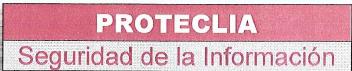 Imagen de PROTECLIA. SEGURIDAD DE LA INFORMACION