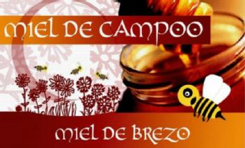 Imagen de MIEL DE CAMPOO