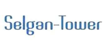 Imagen de SELGAN-TOWER