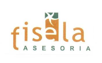 Imagen de FISELA ASESORIA