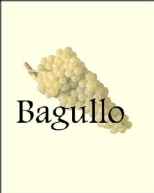 Imagen de BAGULLO