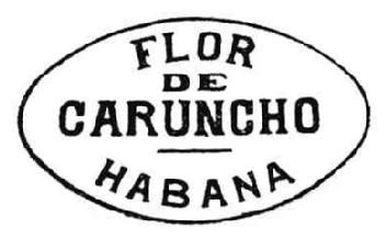 Imagen de FLOR DE CARUNCHO - HABANA