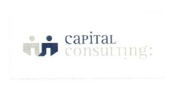 Imagen de CAPITAL CONSULTING: