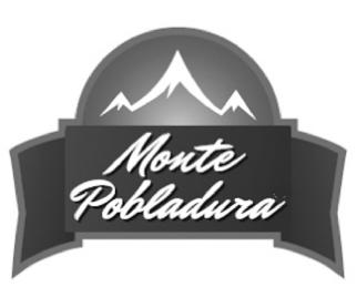 Imagen de MONTE POBLADURA