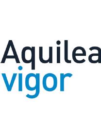 Imagen de AQUILEA VIGOR