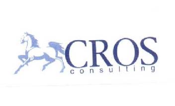 Imagen de CROS CONSULTING