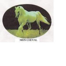 Imagen de MON CHEVAL