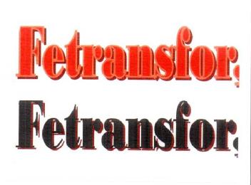 Imagen de FETRANSFOR, FETRANSFOR