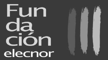 Imagen de FUNDACION ELECNOR