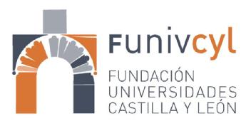 Imagen de FUNIVCYL FUNDACION UNIVERSIDADES CASTILLA Y LEON