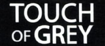 Imagen de TOUCH OF GREY