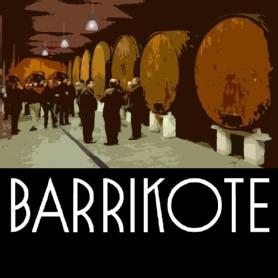 Imagen de BARRIKOTE