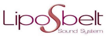 Imagen de LIPOSBELT SOUND SYSTEM