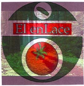 Imagen de EL ENLACE