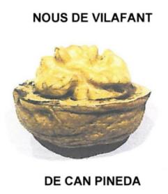 Imagen de NOUS DE VILAFANT DE CAN PINEDA