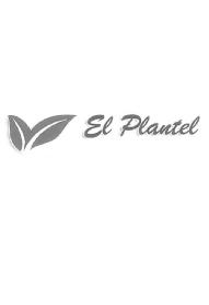 Imagen de EL PLANTEL