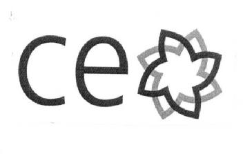 Imagen de CEO